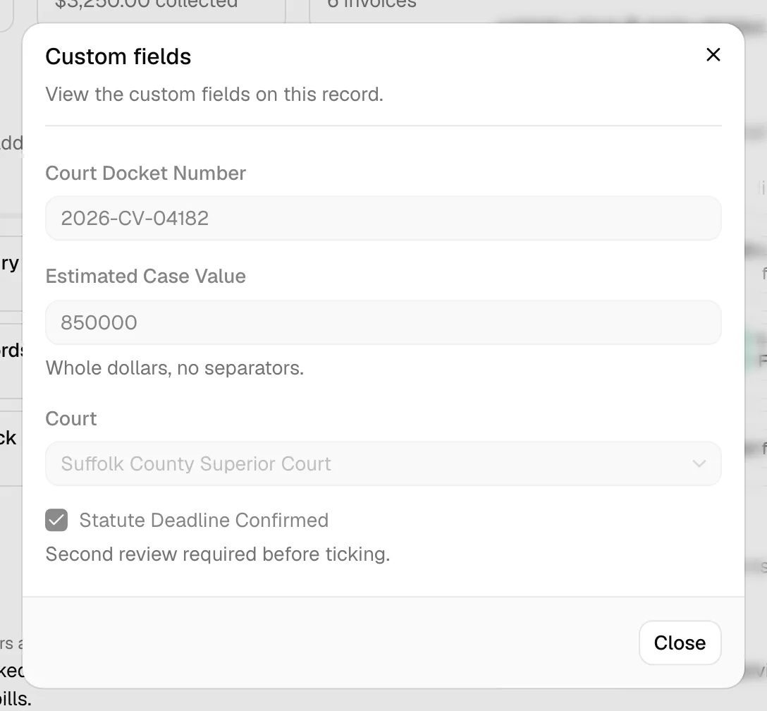 The read-only Custom fields dialog showing field values without input controls, no add dropdowns, and only a Close button in the footer.